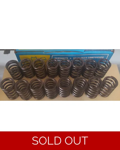 Toyota 3SGE BEAMS racing valve spring set